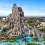 Strategy CEO Says Balance Sheet Safe Unless Bitcoin Falls to $8,000