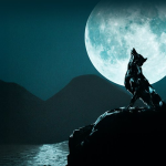 India Escalates Enforcement Against Offshore Crypto…