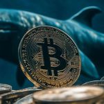 Binance Wallet Launches Event Rush for On-Chain Event…
