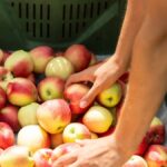 Walmart adds new product line that borrows from Target’s playbook